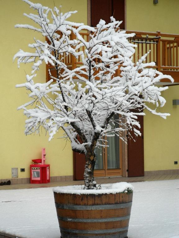 Agritur Ai Masi Villa Pergolese Dış mekan fotoğraf