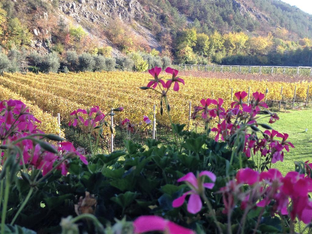 Agritur Ai Masi Villa Pergolese Dış mekan fotoğraf