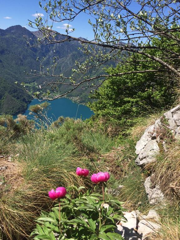 Agritur Ai Masi Villa Pergolese Dış mekan fotoğraf